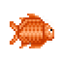 Halibut
